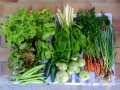 2012-06-06-legumes
