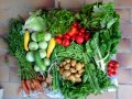 2012-07-04-legumes