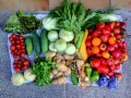2012-08-01-legumes