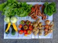 2012-09-19-legumes