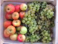 2012-09-19grand_panier_fruit­s