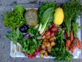 2012-10-03-legumes