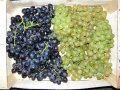 2012-10-10grand_panier_fruit­s