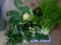 légumes03-07-13