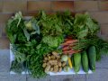 légumes10-07-13