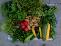 légumes17-07-13