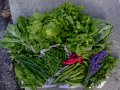 légumes19-06-13