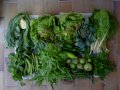 légumes126-06-13