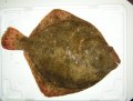 2013-02-07poissonTurbot
