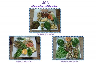 janvier 2011