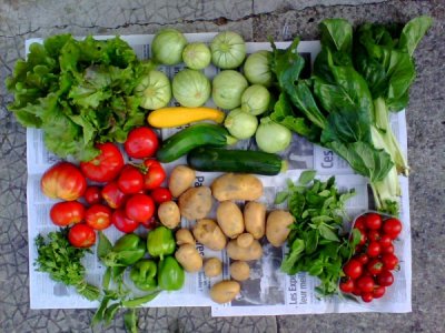 2012-08-15-legumes